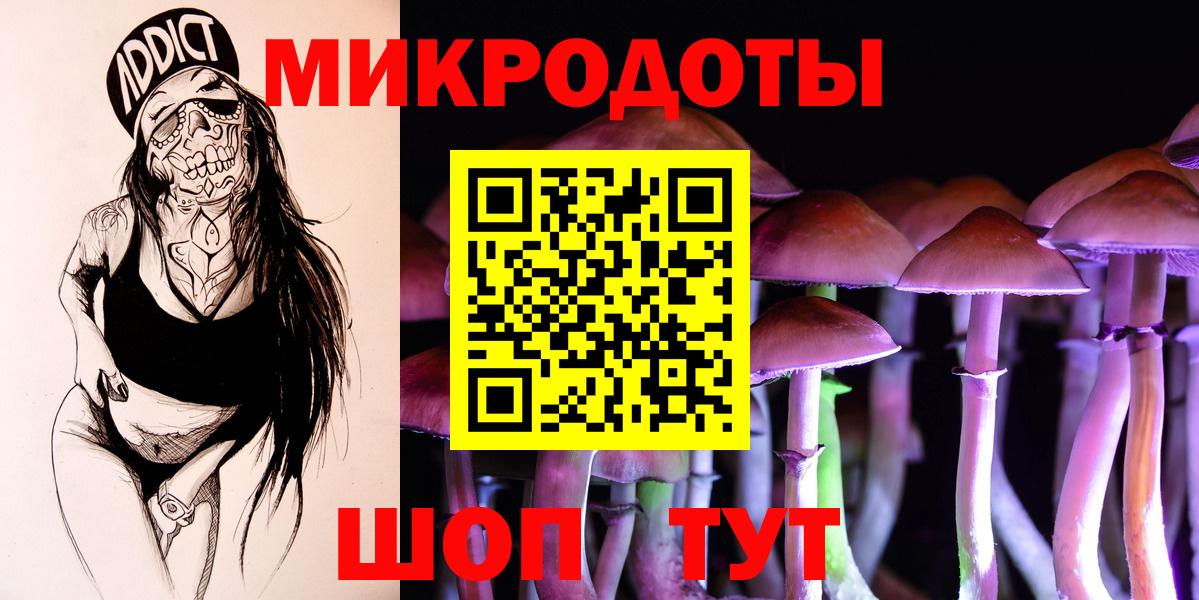 Псилоцибиновые грибы Psilocybe Будённовск