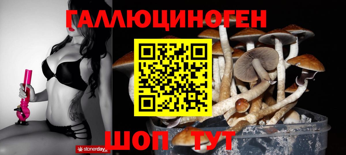 Псилоцибиновые грибы ЛСД  Вход с VPN  Будённовск  Псилоцибиновые грибы мицелий 