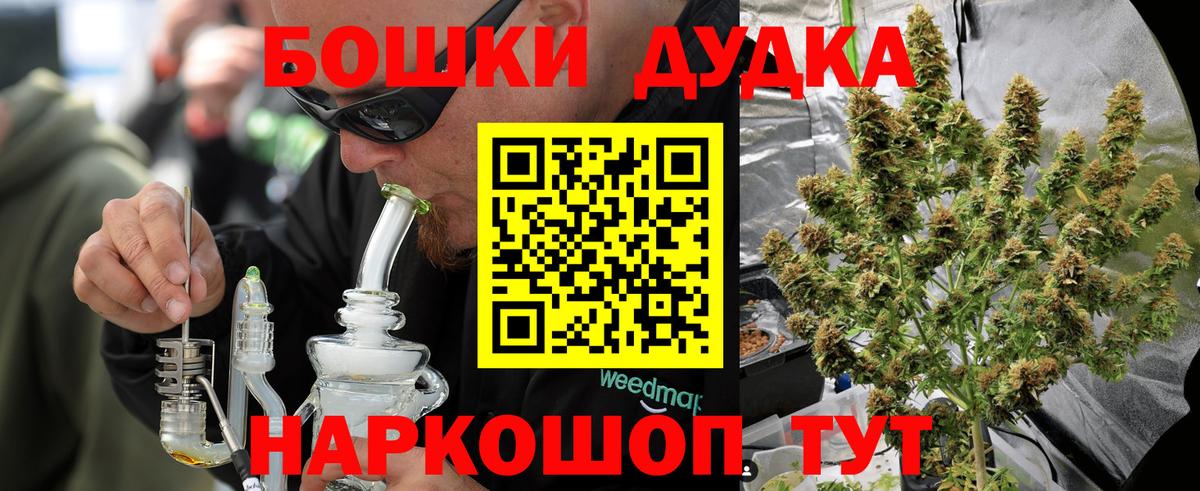 Бошки Шишки планчик Будённовск